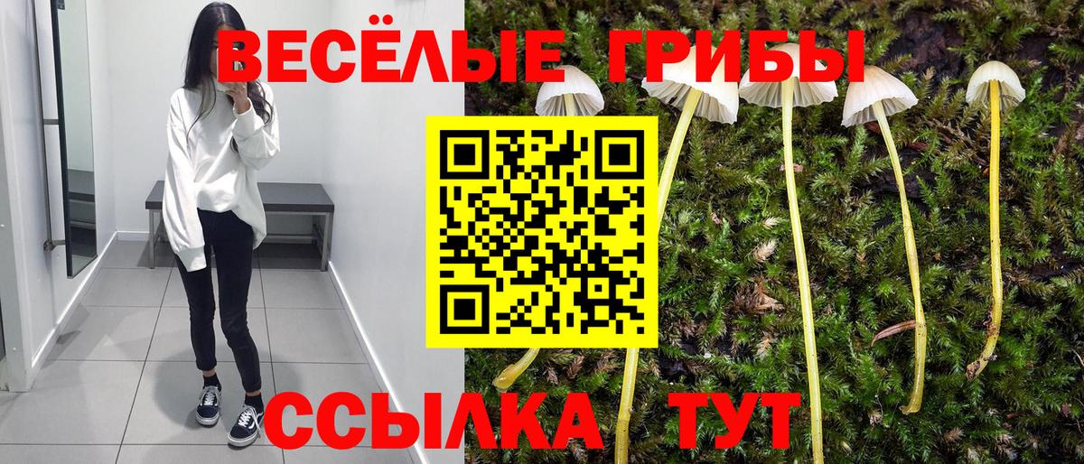 Сызрань  Галлюциногенные грибы Psilocybine cubensis  Вход с VPN 