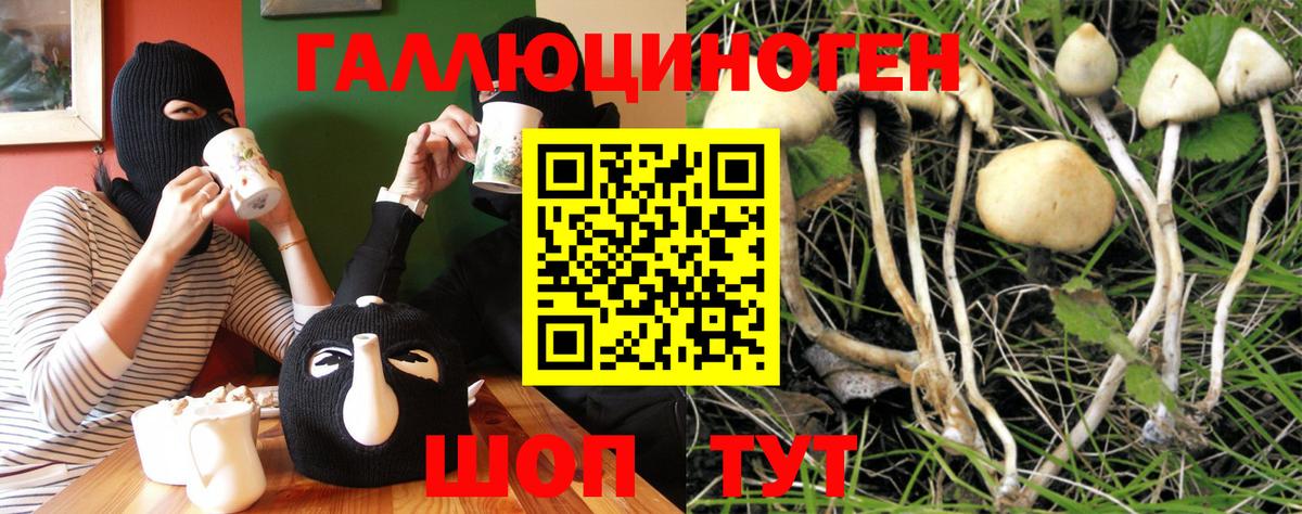 Галлюциногенные грибы Psilocybine cubensis Сызрань